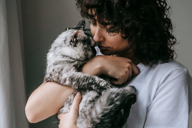 a%20person%20with%20curly%20hard%20holding%20a%20grey%20and%20black%20cat a%20person%20with%20curly%20hard%20holding%20a%20grey%20and%20black%20cat